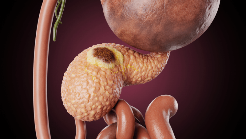 Ферменты поджелудочной железы