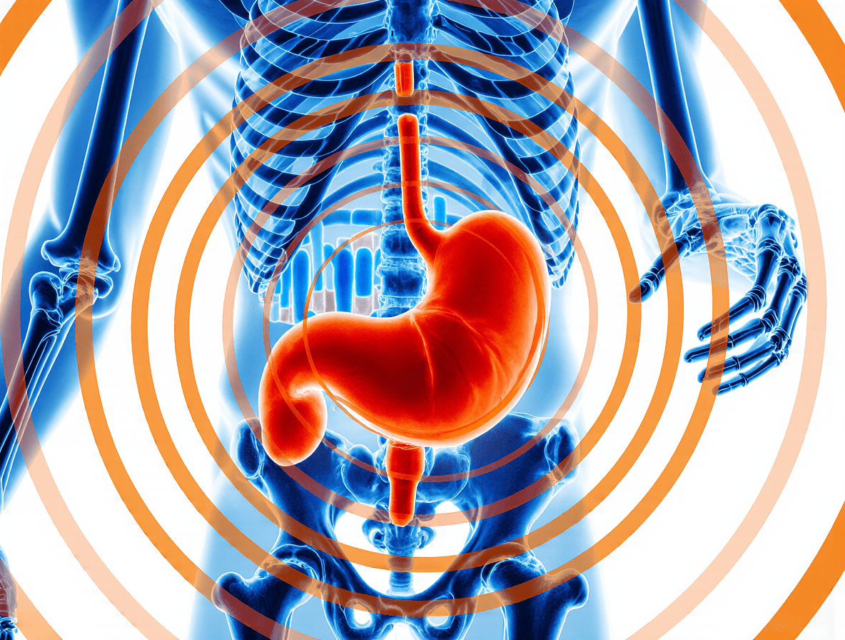Хронический гастрит и гастродуоденит Хронический гастрит и гастродуоденит