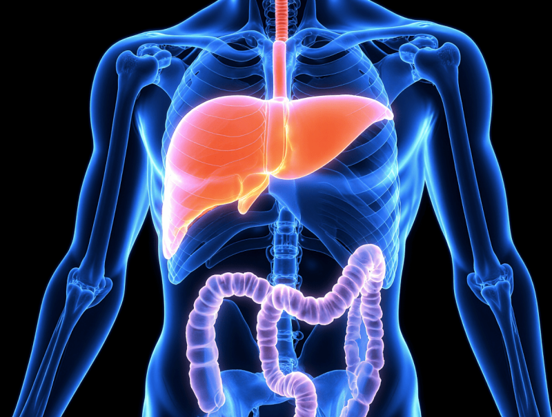 Как улучшить работу желчного пузыря