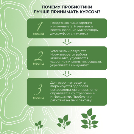 «Симбионты академика Кутушова» брокколи 120 шт.