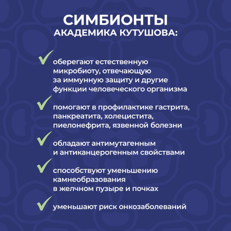 «Симбионты академика Кутушова» черника