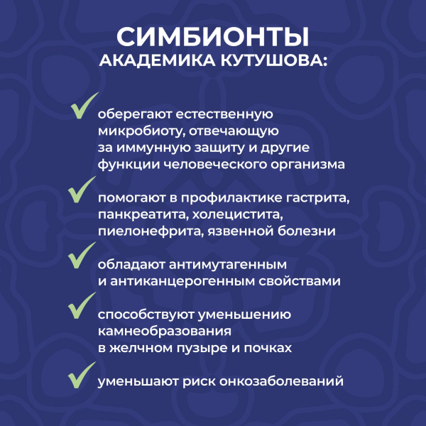 «Симбионты академика Кутушова» черника 120 шт.