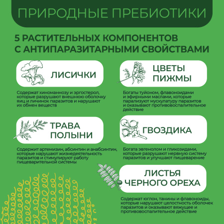 «Симбионты Кутушова Антипаразитарные»