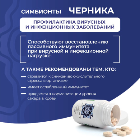 «Симбионты академика Кутушова» черника