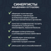 «Синергисты академика Кутушова 120 шт.»