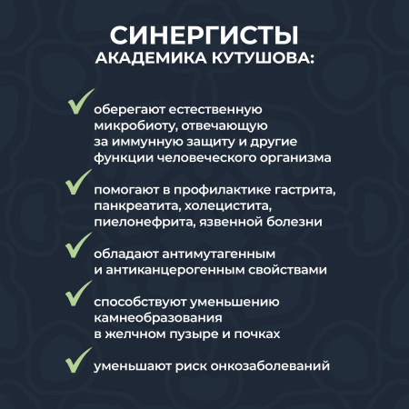 «Синергисты академика Кутушова 120 шт.»