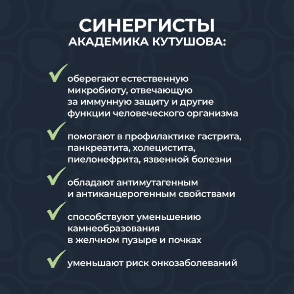 «Синергисты академика Кутушова 120 шт.»