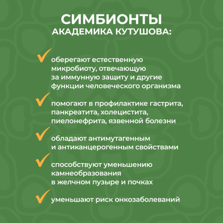 «Симбионты академика Кутушова» брокколи 120 шт.
